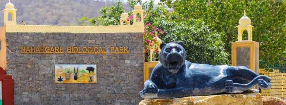 Nahargarh Biological Park
